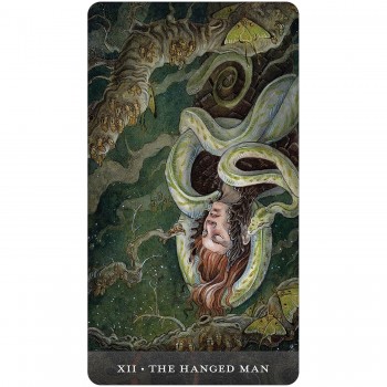 Blood Moon Tarot kortos US Games Systems